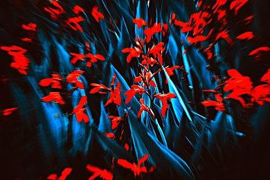 像素RPG《林中小女巫》Steam抢先体验发售 更新计划前瞻公布