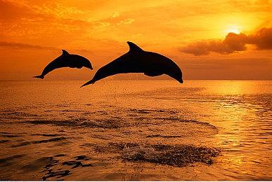 《战争机器》开发商展示虚幻5技术演示“阿尔法点”