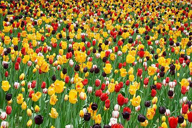 像素版战地《BattleBit Remastered》未来更新计划公布 组建反作弊团队